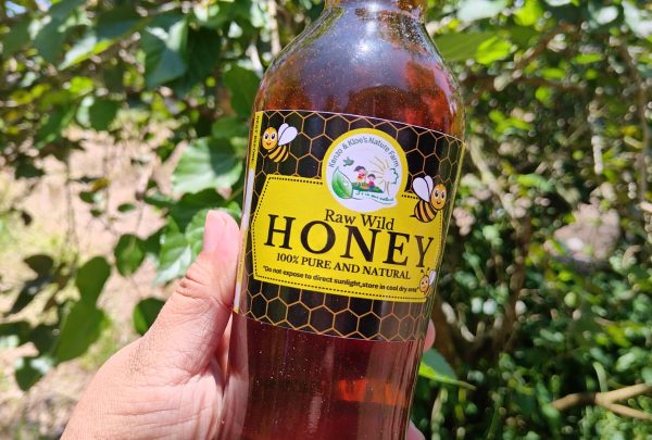 Honey