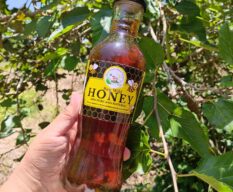 Raw Wild Honey