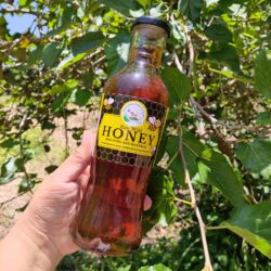 Raw Wild Honey