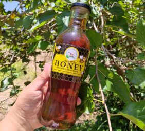 Raw Wild Honey
