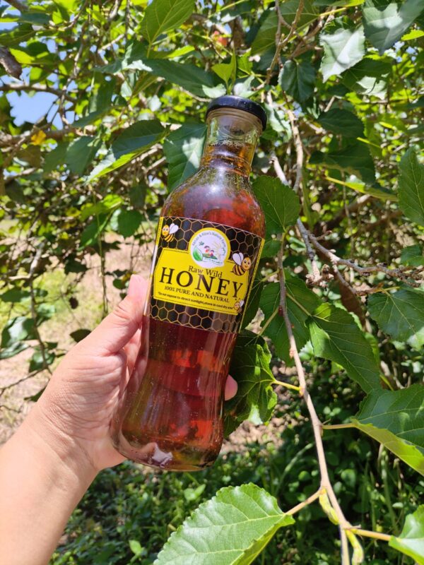 Raw Wild Honey