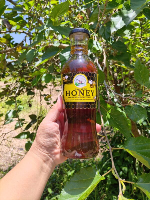 Raw Wild Honey – 100% Pure & Natural - Image 4