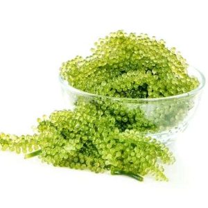 Lato Seaweed