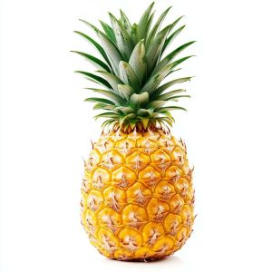 Regular Pineapple (800g-1.2kg)