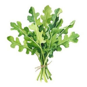 Arugula (200g)