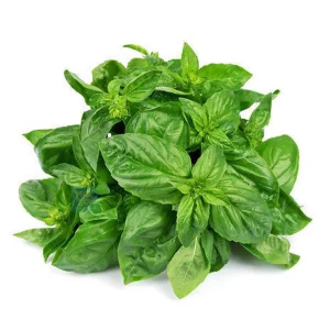 Basil (50g)