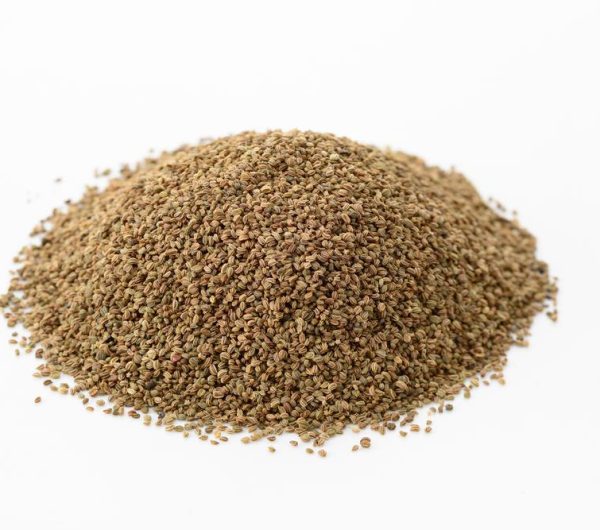 Celery-seeds-3