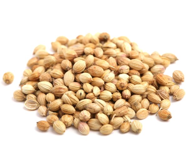 Coriander_560x560