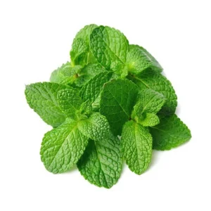 Mint Leaves (90-100g)