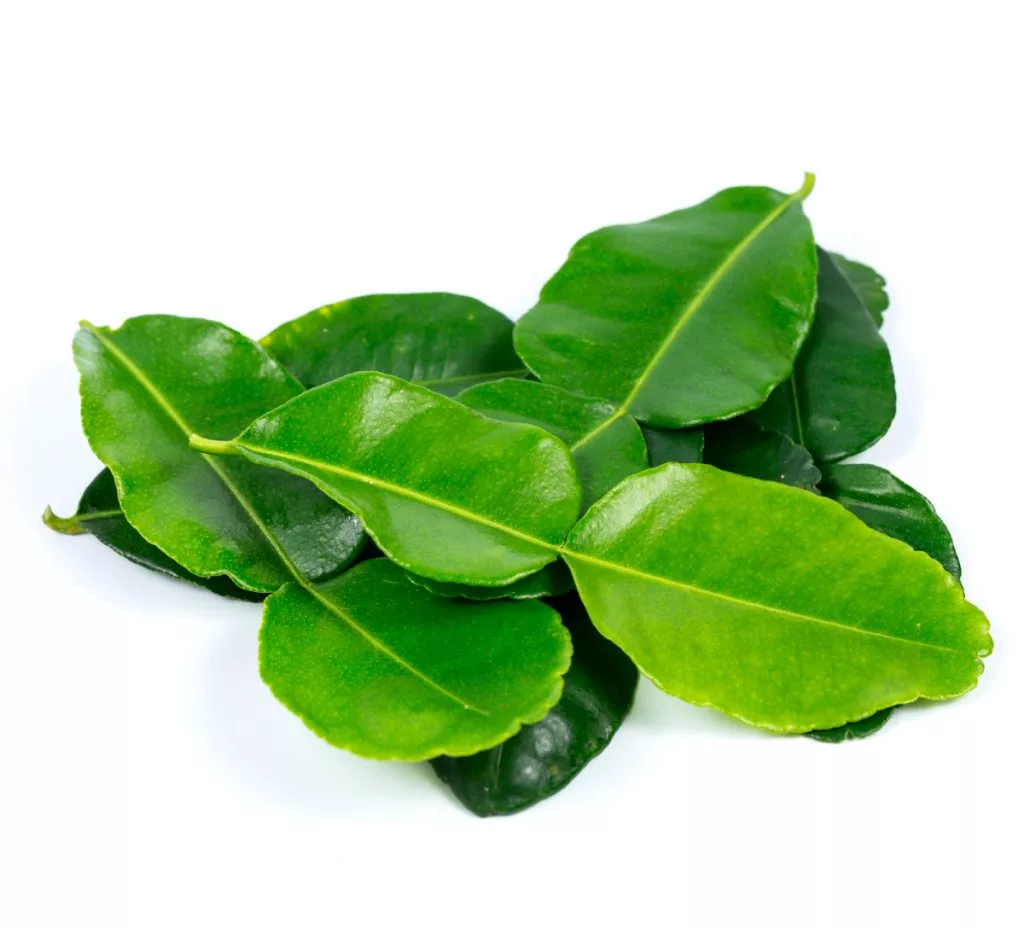 Kaffir Lime Leaves (100g)