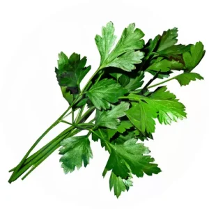 Parsley (90-100g)