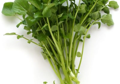 Watercress