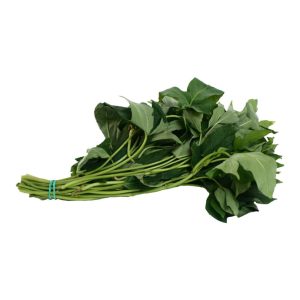 Green Talbos Kamote (Per Bundle)