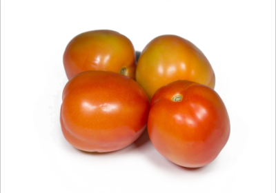 Tomato-Native-600x600
