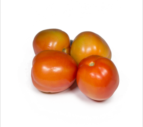 Tomato-Native-600x600