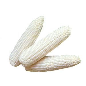White Corn No-Husk (Per Piece)