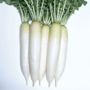 Long Radish (500g)