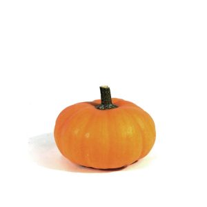 Mini Pumpkin (Per Piece)