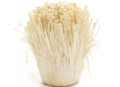 enokitake-mushrooms-asiamart