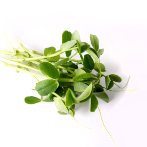 Duo Miao Pea Shoots (250g)