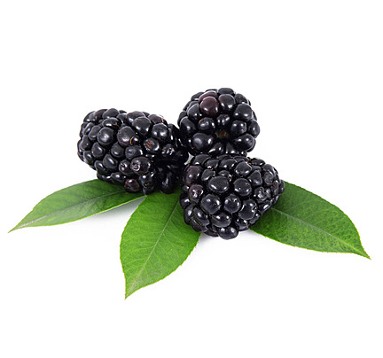 Blackberry (Per Pack)