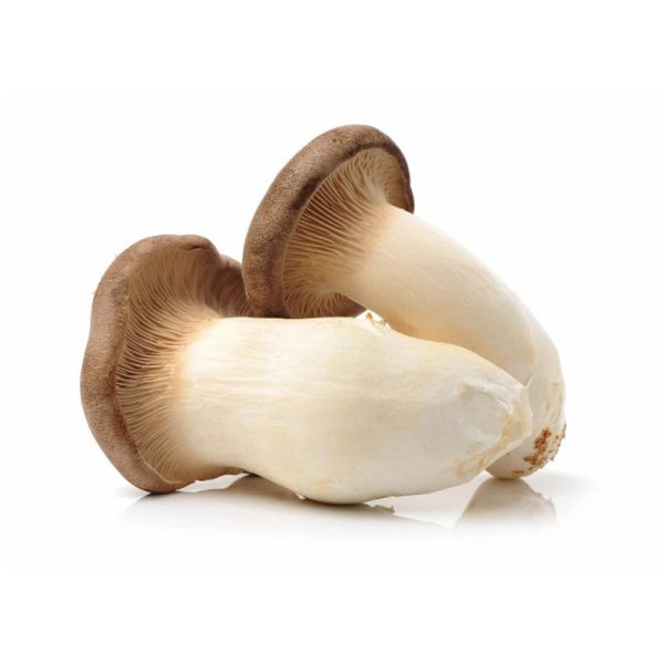 products-king-oyster-mushrooms-01