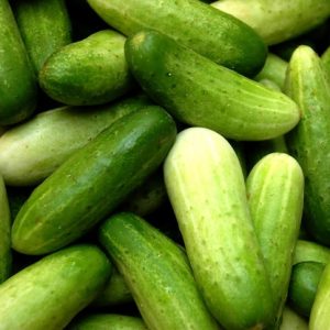 Native Cucumber (250g)